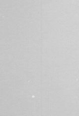 Julie Cathrine Sose i 1896.